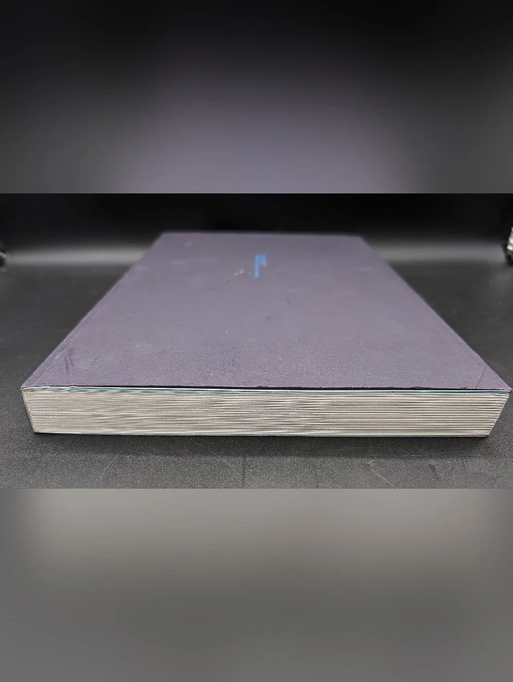 Waist Down; Skirts by Miuccia Prada. 1st Edition, 2004